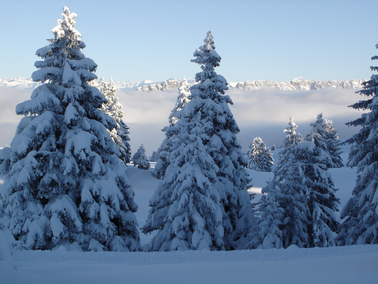 Paysage enneigé au sommet du Semnoz. Illustration du lieu, sans garantie de l’enneigement actuel.
