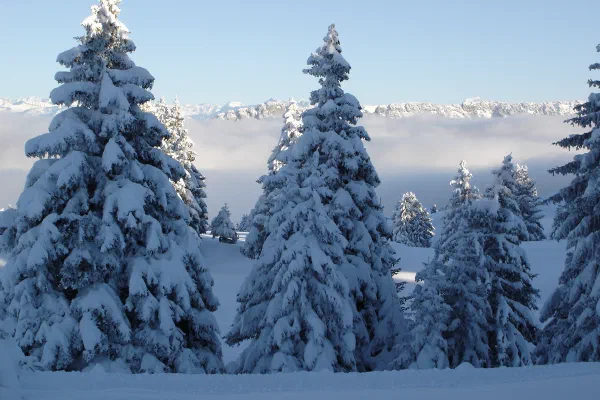 Paysage enneigé au sommet du Semnoz. Illustration du lieu, sans garantie de l’enneigement actuel.